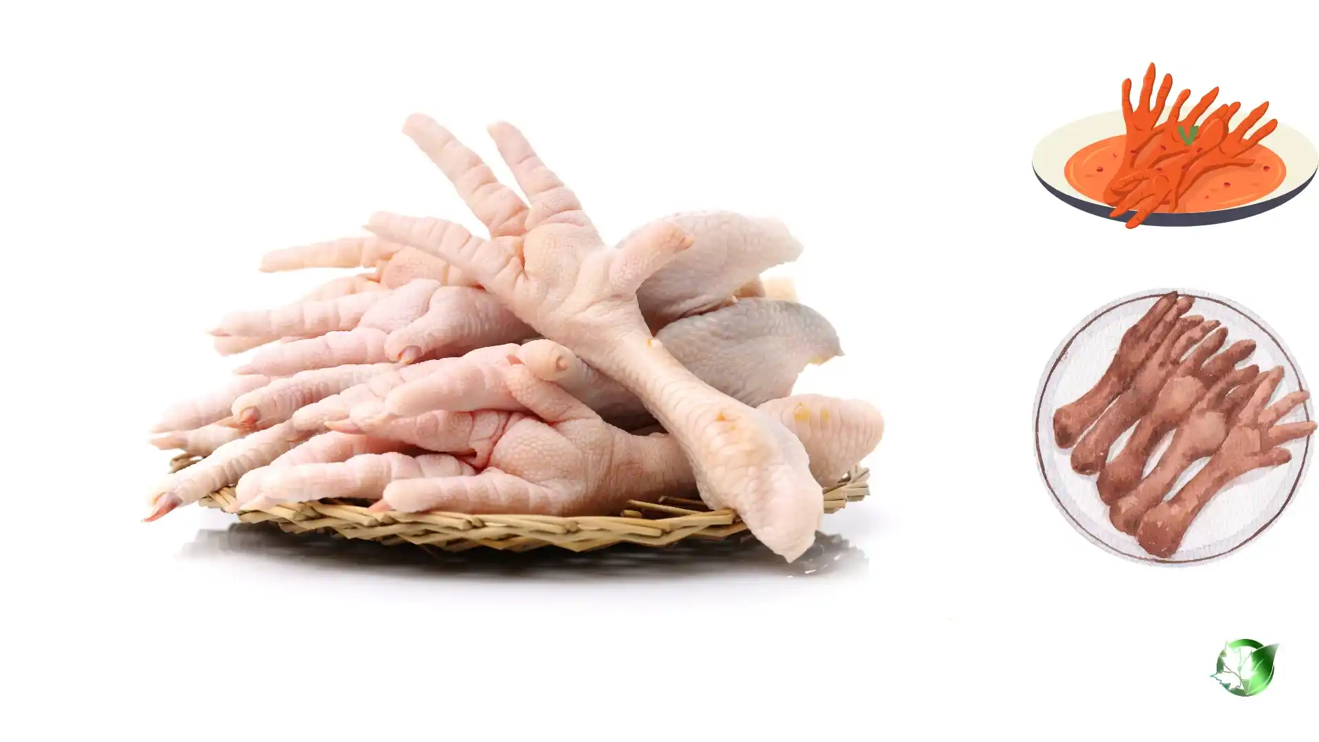 Exporter evaluation for Chicken Paws should cover specification, packaging, supporting records, logistics, and true import cost.